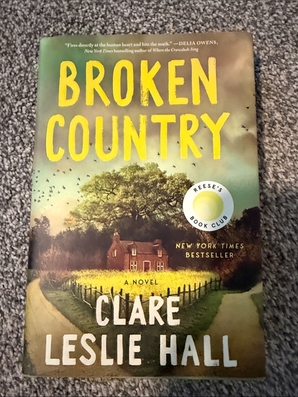 Clare Leslie Hall - Broken Country (Yellow Cover)